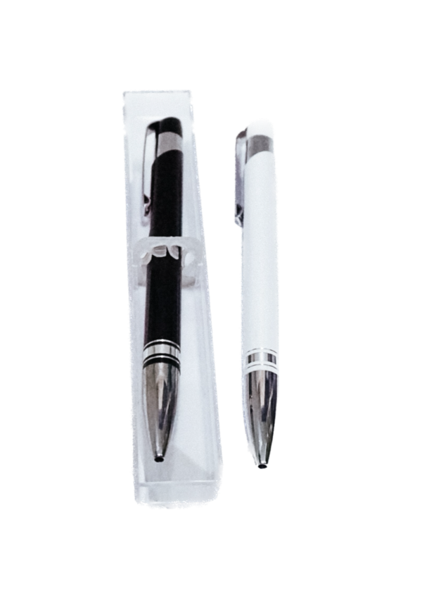 Metal Pen with Case