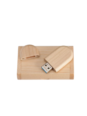 Bamboo flash drive with bamboo case.