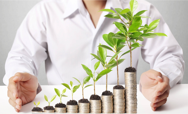 plants-on-top-of-coins-in-an-ascending-line