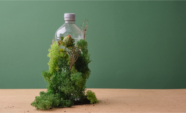 A-plastic-bottle-covered-with-plant